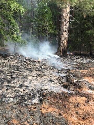Truckee Meadows Fire Protection District Mops Up Small Brush Fire