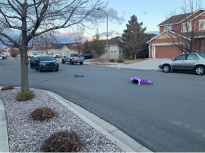 Lemmon valley veh vs ped.PNG