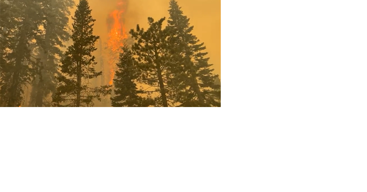 BLM Fire Prevention Team raising wildfire awareness across Nevada - Vimarsana News
