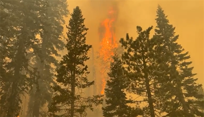 Caldor fire