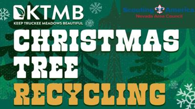 Christmas Tree Recycling with Local Scouts