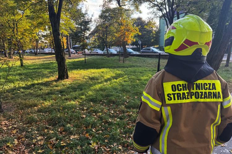 Poland School Attack