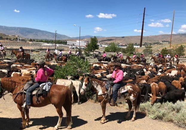 Reno Rodeo Starts Thursday; Road Closures Expected for Cattle Drive ...