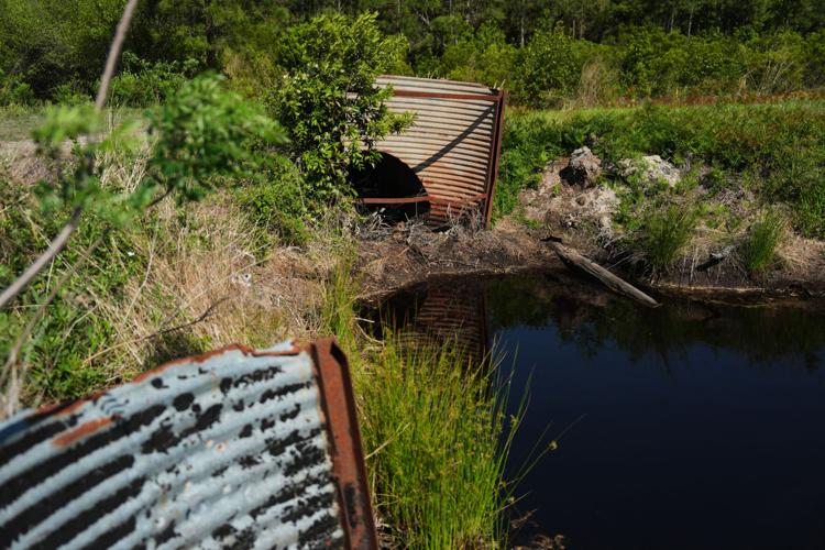 Climate Peatlands Restoration