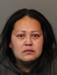 Nevada State Police Make Arrest in Painted Rock Fatal Crash