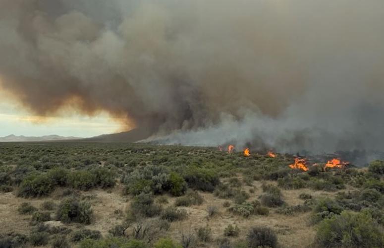 Dutch Flat Fire, Humboldt County