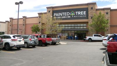 Painted Tree - Photo