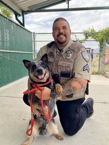 Another Vinnie Pic.jpg