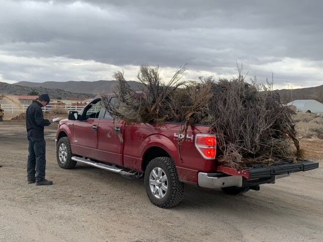 Truckee Meadows Fire & Rescue Green Waste Collection