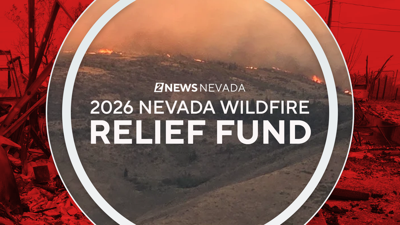 Wildfire Relief Fund Monitor.png
