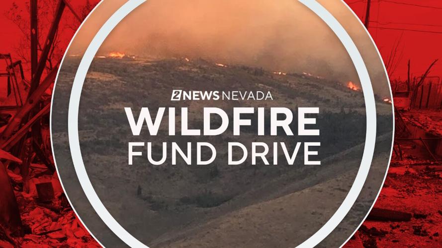 Wildfire Relief Fund Monitor.png