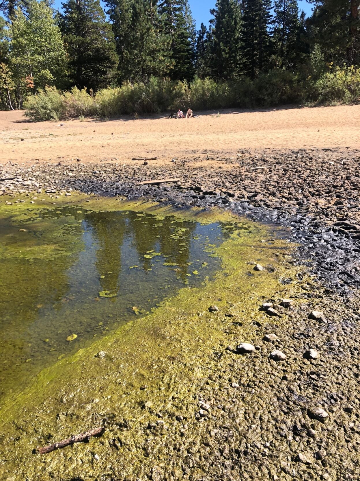 Caution Level_Harmful Algal Bloom_Lahontan Water Board.jpg