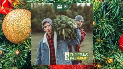 Christmas Tree Permits .jpg