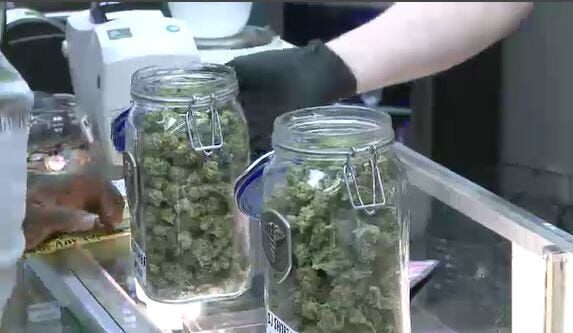 City Council Unanimously Adopts Recreational Pot Ordinance