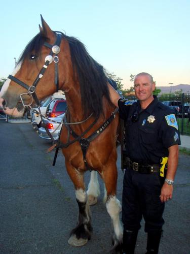 SCSO Horse.jpg