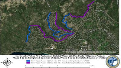 NLTFPD Worm Project .jpg