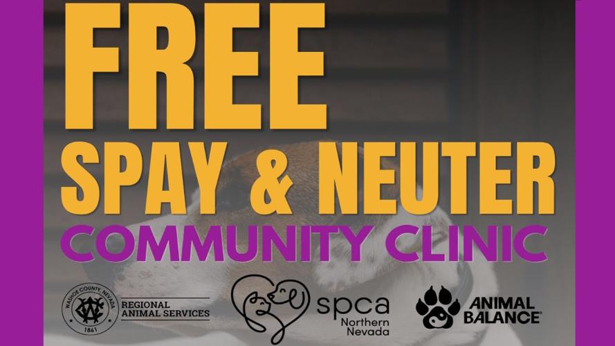 SPCA Free spay and neuter clinic .jpg