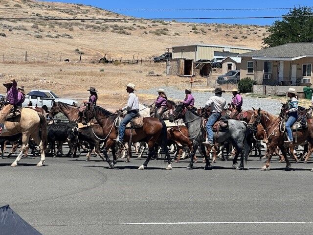 Cattle Drive 46.jpg