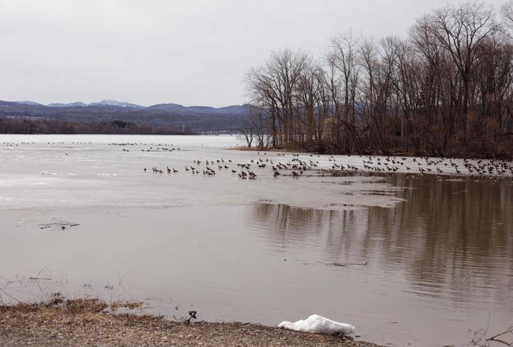 Climate Warming Winters Pollution