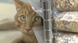 A Green Answer to Rodent Control