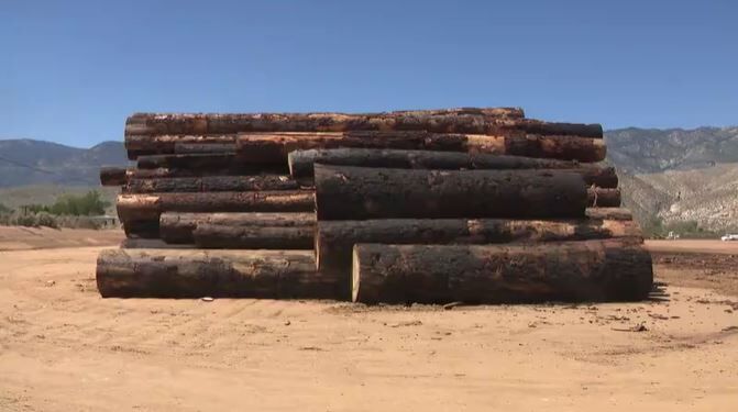 Sawmill