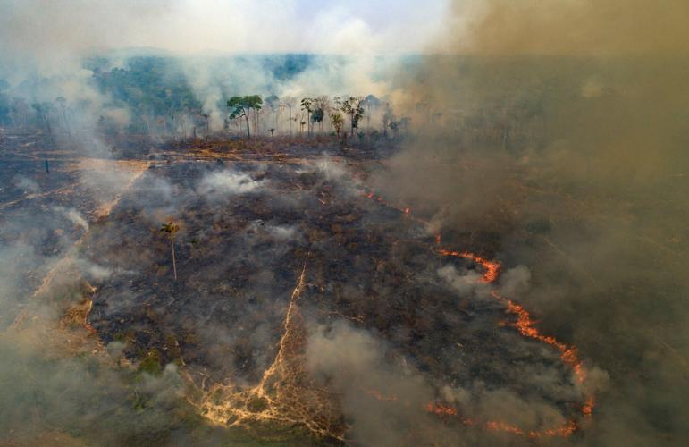 Brazil Amazon Deforestation Wildfires