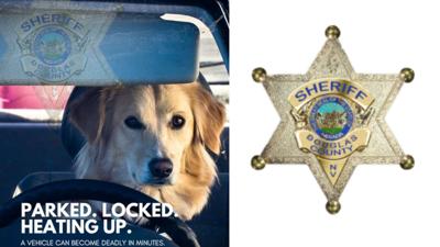 Douglas County Sheriff warning about pets left in cars .jpg