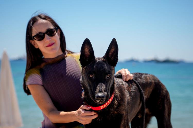 France Cannes 2026 Palm Dog