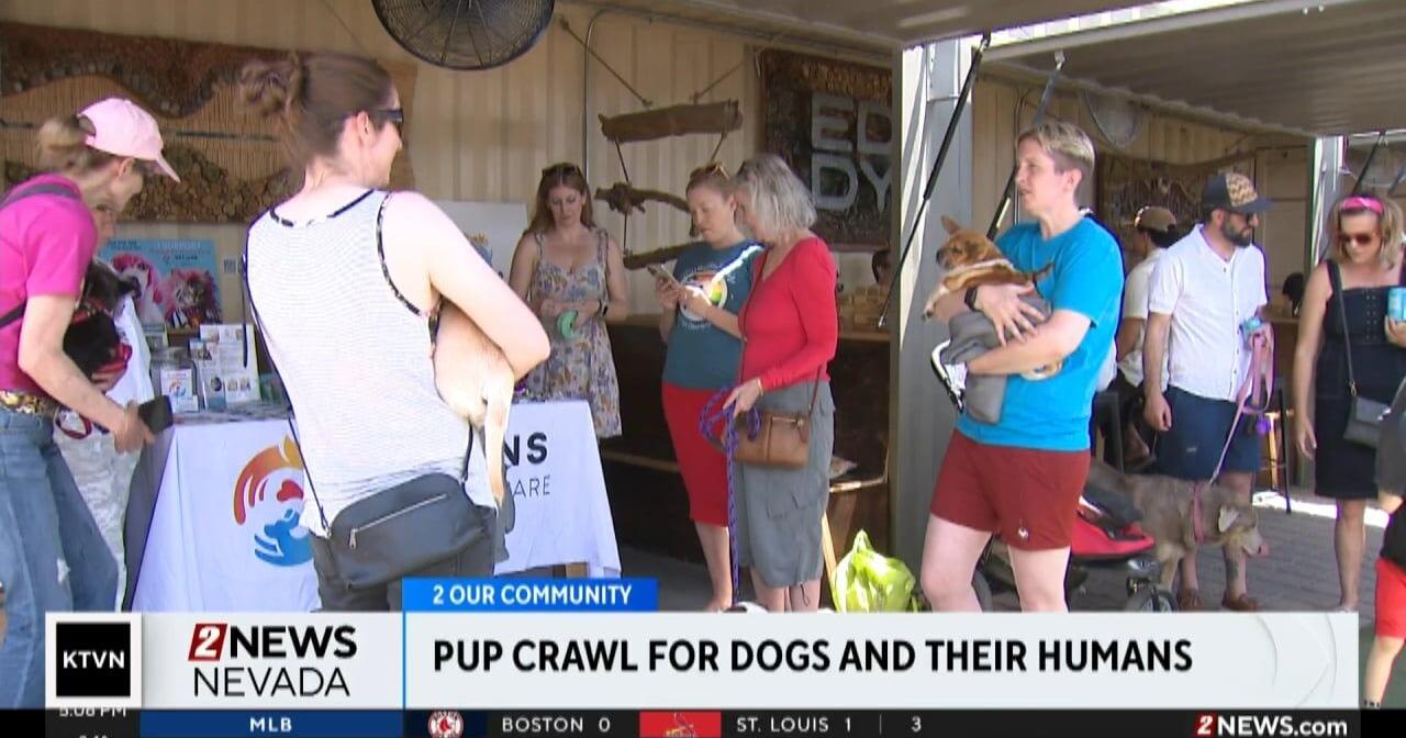 Pup Crawl Raises Funds for Local Non-Profits - Vimarsana News