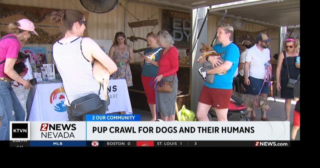 Pup Crawl Raises Funds for Local Non-Profits | News | 2news.com