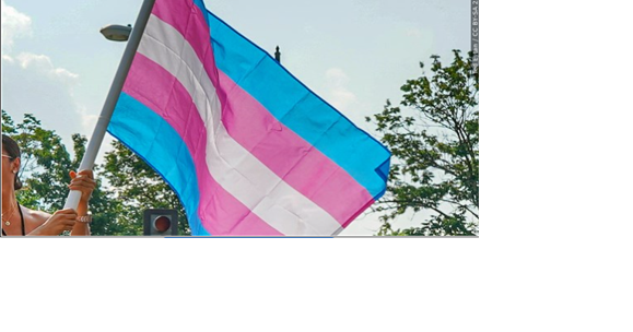 Northern Nevada HOPES Invites Community to join in Honoring International Trans Day of Visibility - Vimarsana News