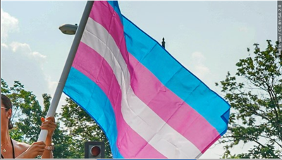 Transgender support flag.PNG