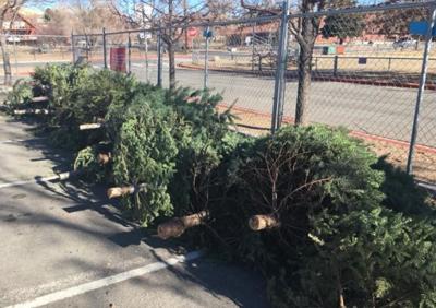 Christmas Tree Recycling