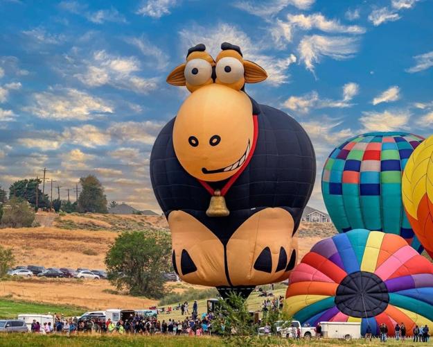 Ashton_Montie the Sheep.jpeg