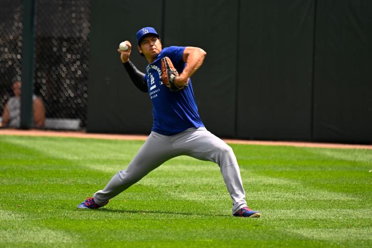 Dodgers White Sox Baseball
