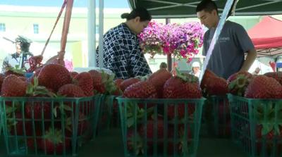 Nearly 20 Farmers Markets In Northern Nevada Offer Fresh Food, Samples