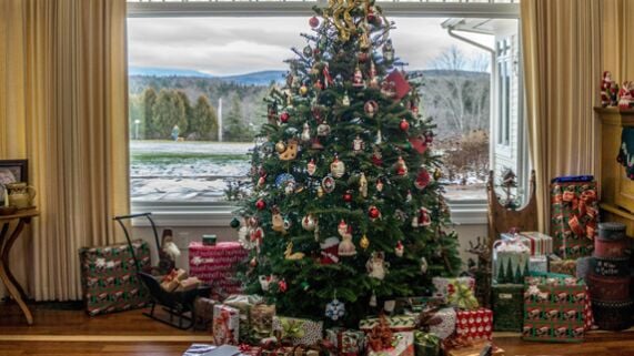 Amazon Will Ship Live, Full-Size Christmas Trees