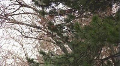 Possible Wind Damage With Current Storm