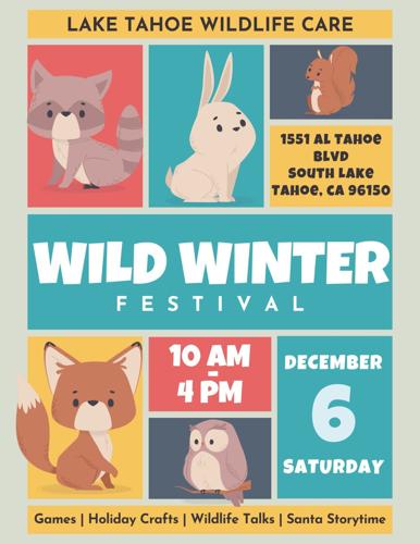 Wild Winter Fest