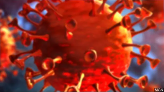 Coronavirus