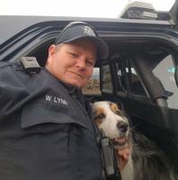 NHP: Dog Rescued From Freeway On National Puppy Day