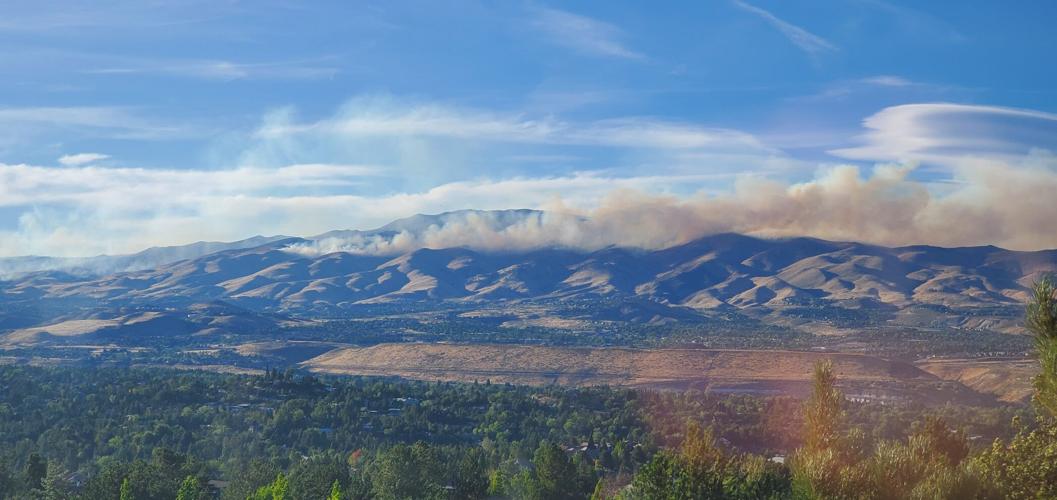 Viewer Submission - Hawk Fire - Nathan Mills 6.jpg