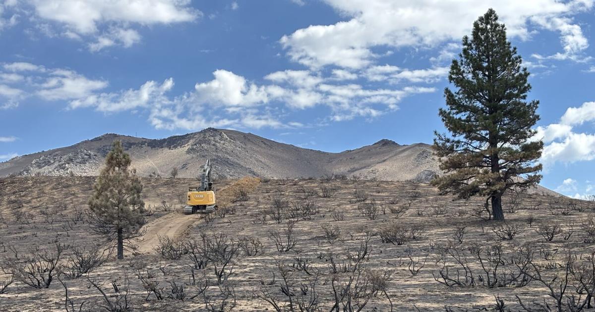 Bull Fire containment grows to 98%