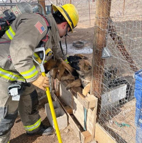 Doghouse fire