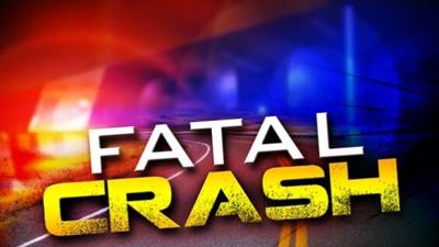 Mother, Daughter Killed in Collision With Bear in Northern California