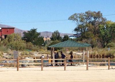 Carson Deputies Investigate Body Found in Pond Near Fairgrounds