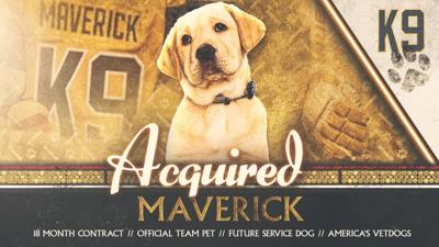 VGKTeamPuppy.jpg