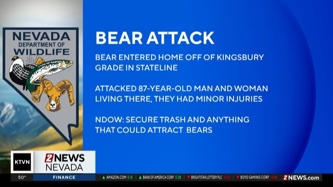 Bear attacks elderly man and woman at home, image size:1280x720