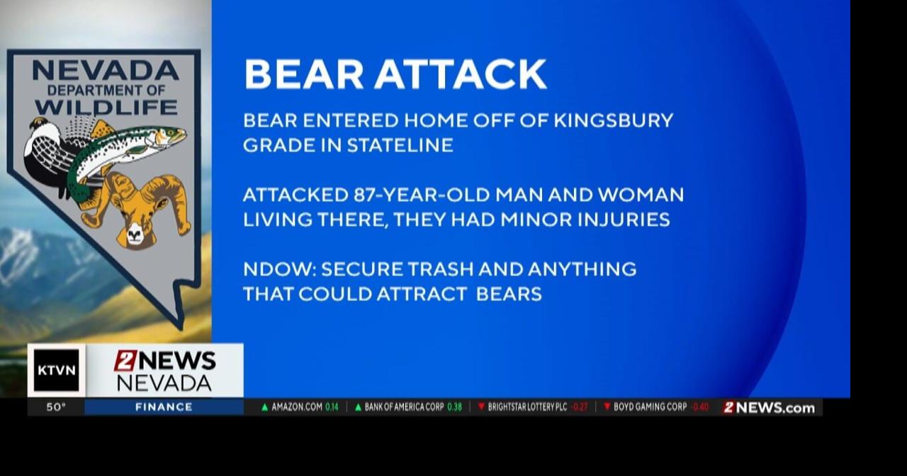 Man and woman suffer minor injuries in bear attack at Stateline home ...