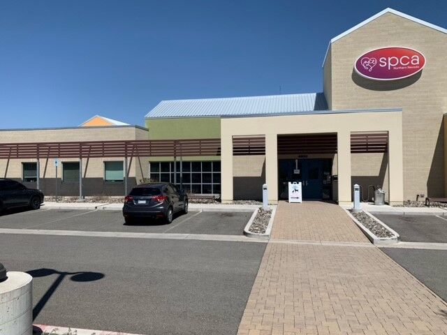 SPCA of Northern Nevada and Reno Iron Works calls for public support in building crisis